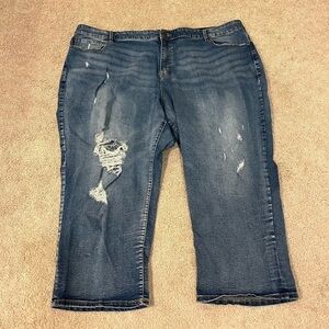 Lane Bryant Distressed Jean Capri’s